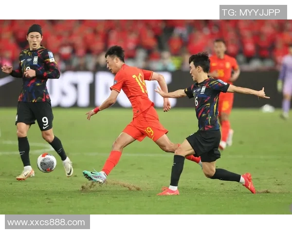 上海排球队在世界杯预选赛中的团队协作表现值得称赞与反思